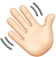 Hand Icon